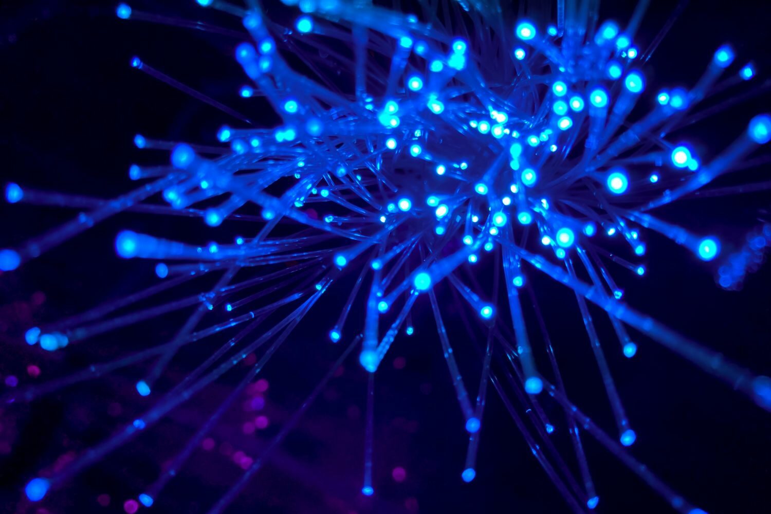 Light Sciences and Technology
